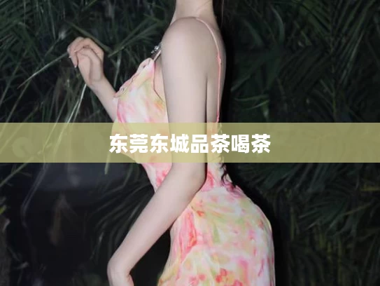 东莞东城品茶喝茶