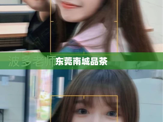 东莞南城品茶	