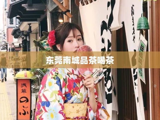 东莞南城品茶喝茶