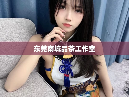 东莞南城品茶工作室