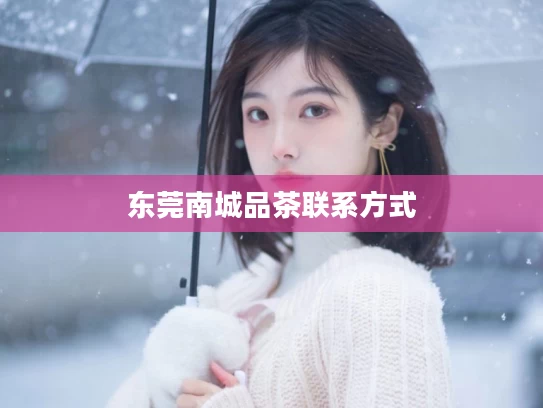 东莞南城品茶联系方式