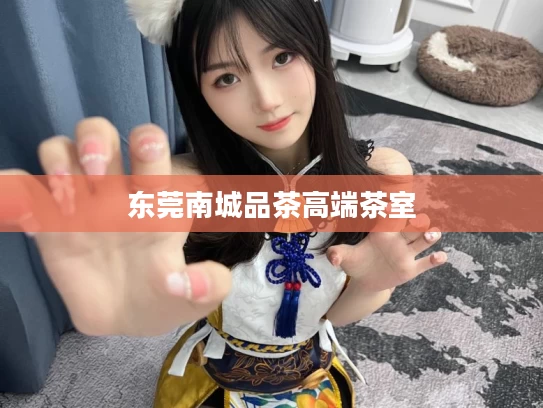 东莞南城品茶高端茶室