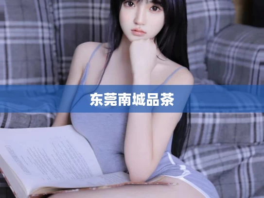 东莞南城品茶