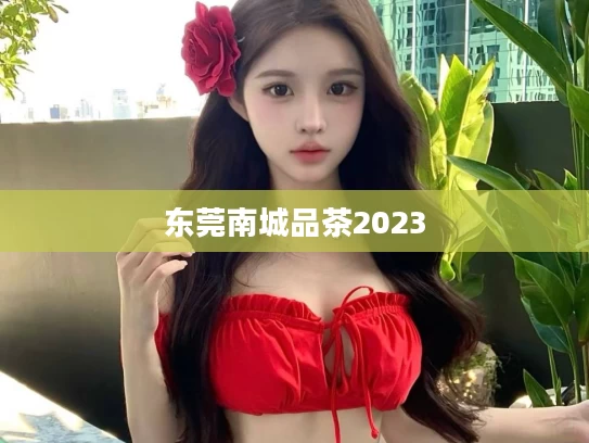 东莞南城品茶2023