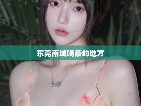 东莞南城喝茶的地方	