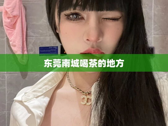 东莞南城喝茶的地方