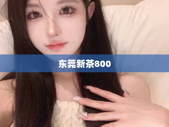 东莞新茶800