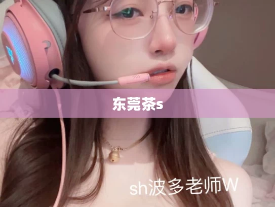 东莞茶s