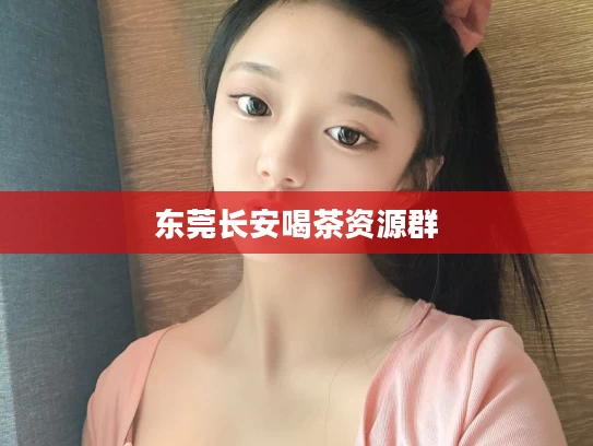 东莞长安喝茶资源群
