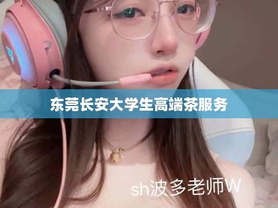 东莞长安大学生高端茶服务
