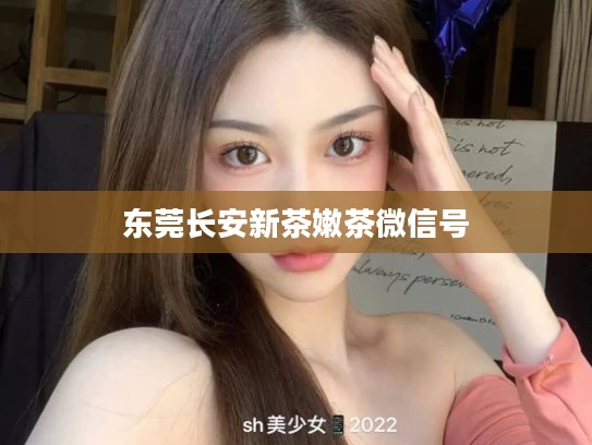 东莞长安新茶嫩茶微信号