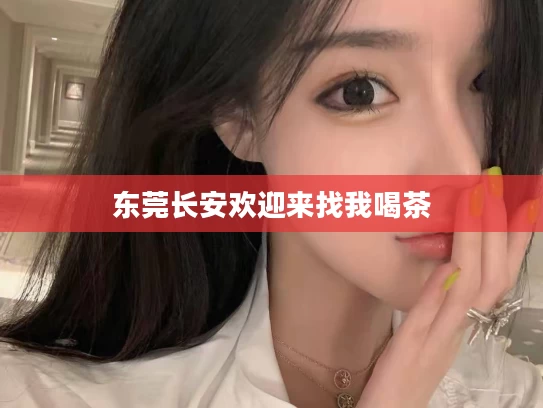 东莞长安欢迎来找我喝茶