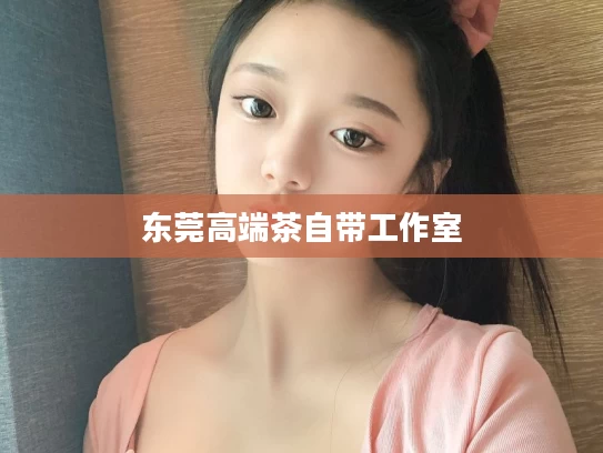东莞高端茶自带工作室
