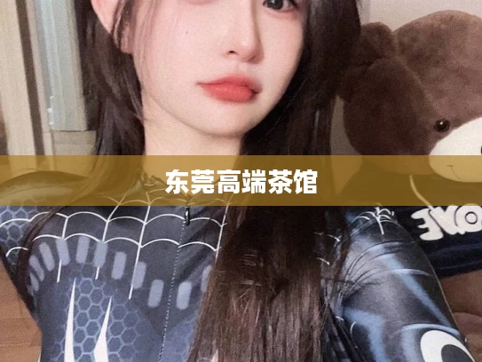 东莞高端茶馆
