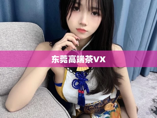 东莞高端茶VX