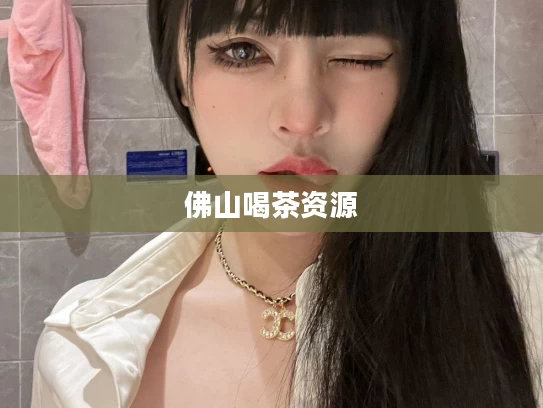 佛山喝茶资源