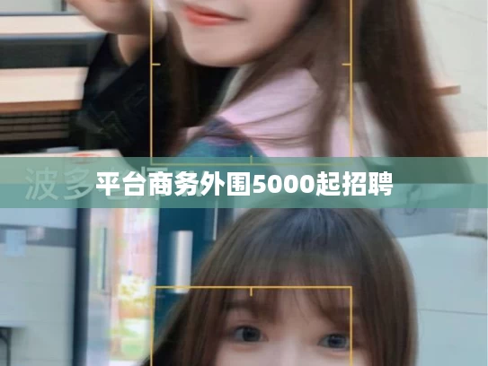 平台商务外围5000起招聘