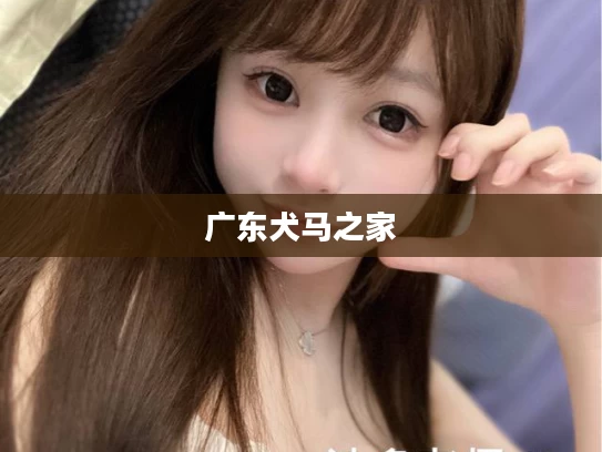 广东犬马之家
