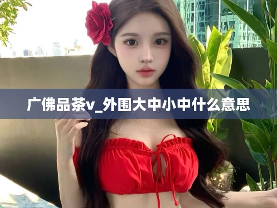 广佛品茶v_外围大中小中什么意思