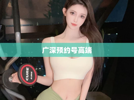 广深预约号高端