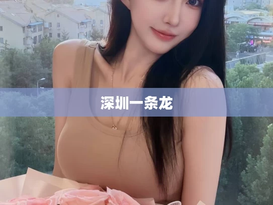 深圳一条龙