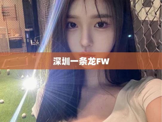 深圳一条龙FW