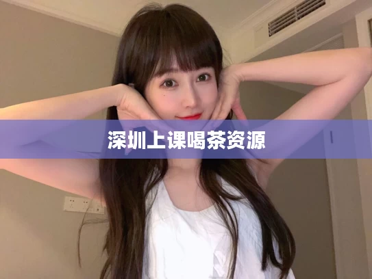 深圳上课喝茶资源