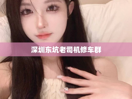 深圳东坑老司机修车群