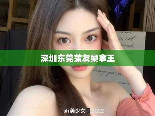 深圳东莞蒲友桑拿王
