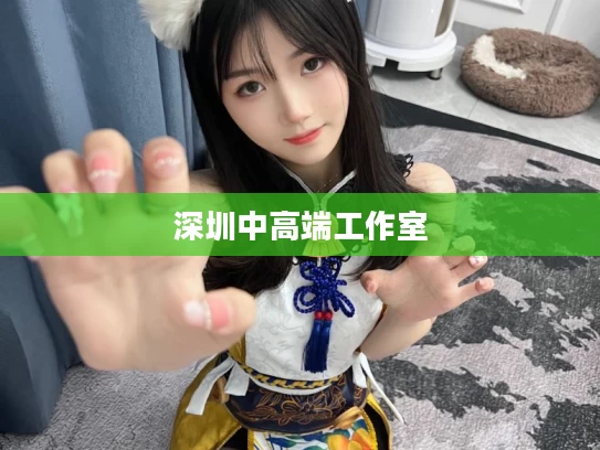 深圳中高端工作室