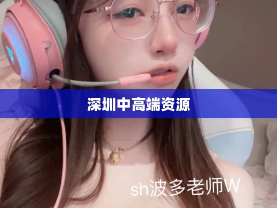 深圳中高端资源