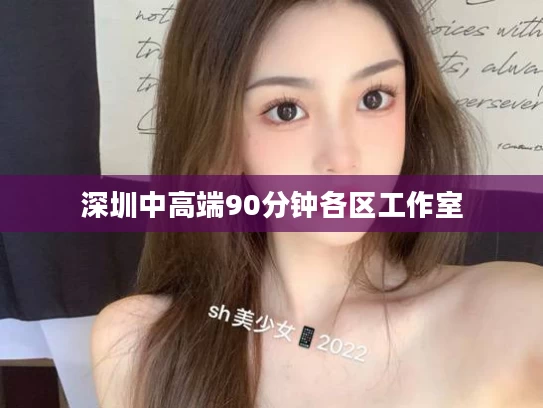 深圳中高端90分钟各区工作室