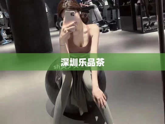 深圳乐品茶