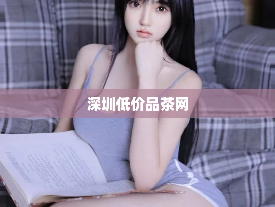 深圳低价品茶网