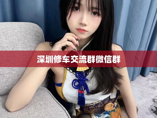 深圳修车交流群微信群