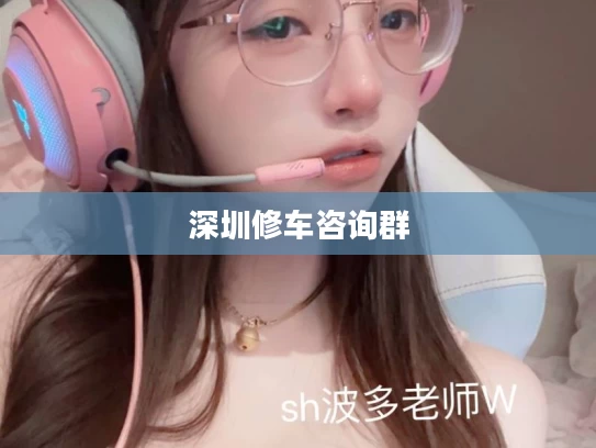 深圳修车咨询群