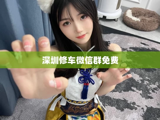 深圳修车微信群免费