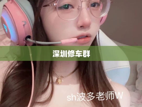 深圳修车群