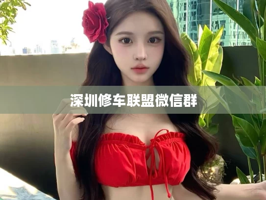 深圳修车联盟微信群