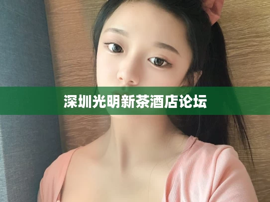 深圳光明新茶酒店论坛