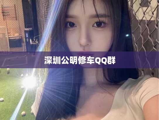 深圳公明修车QQ群