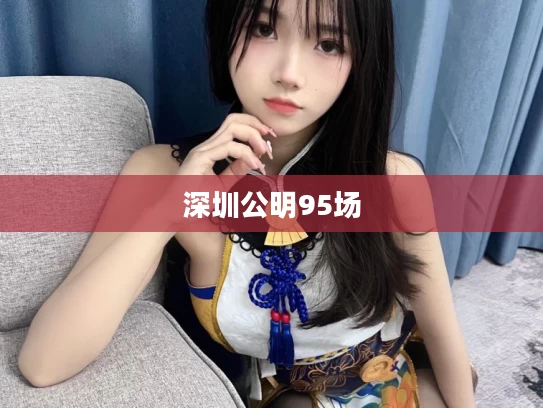 深圳公明95场