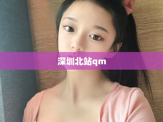 深圳北站qm
