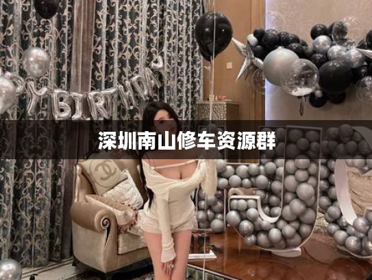 深圳南山修车资源群