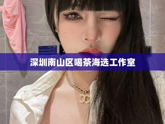 深圳南山区喝茶海选工作室
