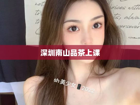 深圳南山品茶上课