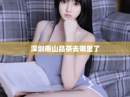 深圳南山品茶去哪里了