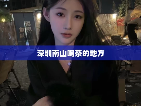深圳南山喝茶的地方