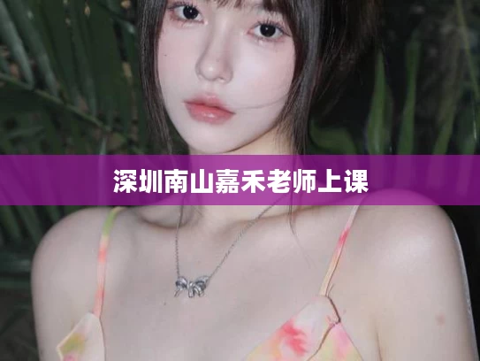 深圳南山嘉禾老师上课