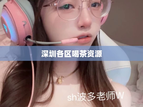 深圳各区喝茶资源